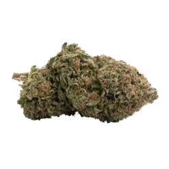 MONKEY BREATH
